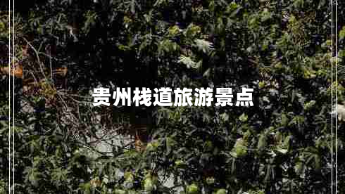 貴州棧道旅游景點(diǎn) 貴州棧道旅游景點(diǎn)