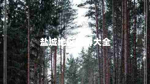 鹽城地區旅游大全