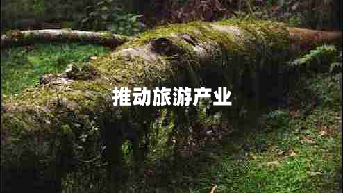 推動(dòng)旅游產(chǎn)業(yè)