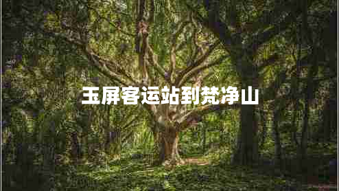 玉屏客運站到梵凈山