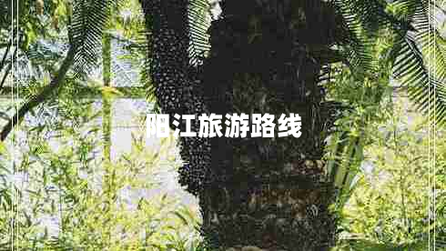 陽(yáng)江旅游路線(xiàn)