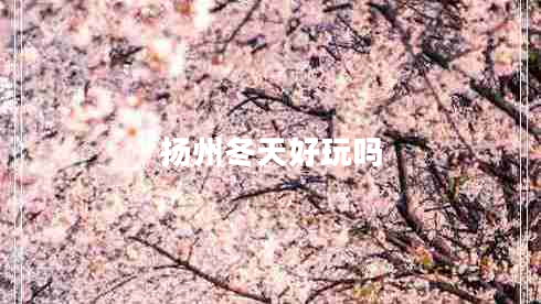 揚州冬天好玩嗎