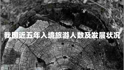 我國近五年入境旅游人數及發(fā)展狀況