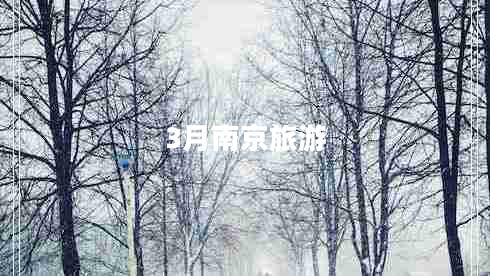 3月南京旅游 3月南京旅游