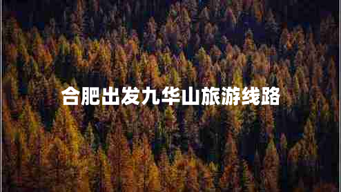 合肥出發(fā)九華山旅游線(xiàn)路