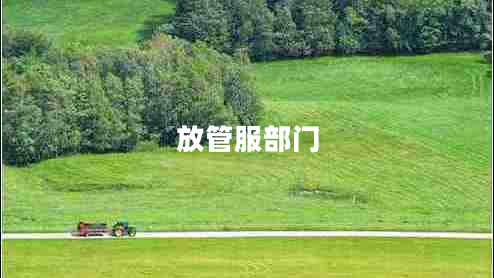 放管服部門(mén)