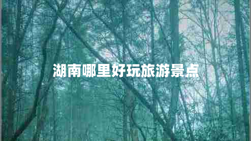 湖南哪里好玩旅游景點(diǎn)
