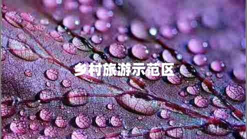 鄉村旅游示范區