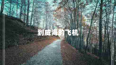 到威海的飛機