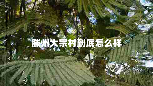 滕州大宗村到底怎么樣