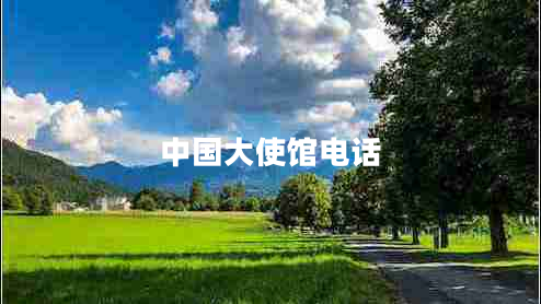 中國大使館電話(huà) 中國大使館電話(huà)