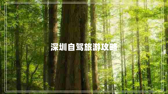 深圳自駕旅游攻略