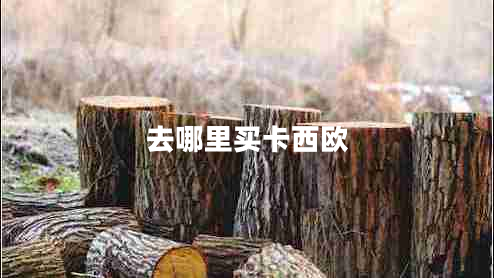 去哪里買(mǎi)卡西歐