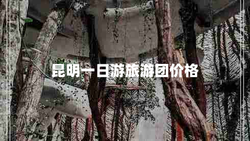 昆明一日游旅游團價(jià)格