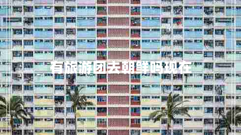 有旅游團去朝鮮嗎現在