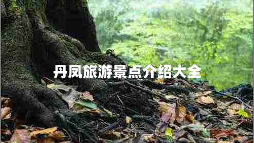 丹鳳旅游景點(diǎn)介紹大全