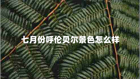 七月份呼倫貝爾景色怎么樣