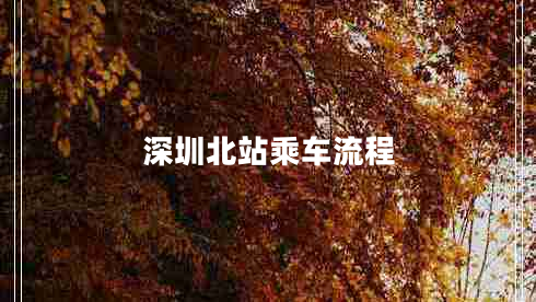 深圳北站乘車(chē)流程