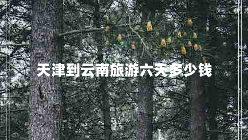 天津到云南旅游六天多少錢(qián)