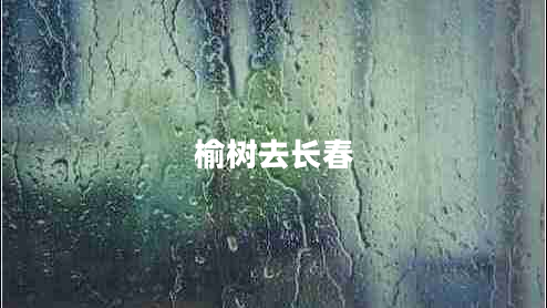 榆樹(shù)去長(cháng)春