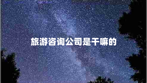 旅游咨詢(xún)公司是干嘛的
