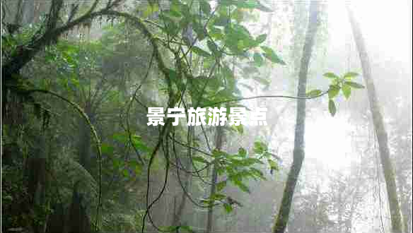 景寧旅游景點(diǎn)