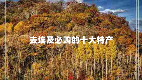 去埃及必購的十大特產(chǎn)