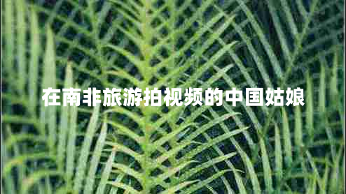 在南非旅游拍視頻的中國姑娘