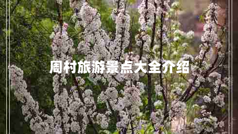 周村旅游景點(diǎn)大全介紹