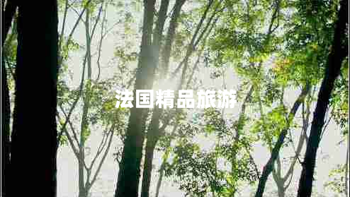 法國精品旅游
