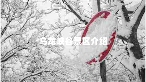 烏龍峽谷景區介紹