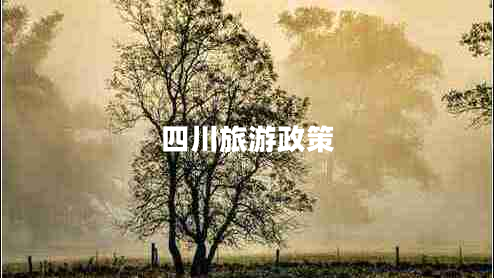 四川旅游政策