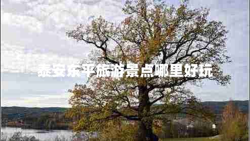 泰安東平旅游景點(diǎn)哪里好玩