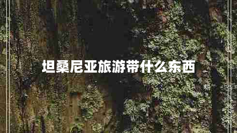 坦桑尼亞旅游帶什么東西