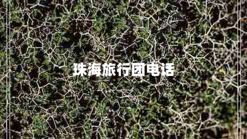 珠海旅行團電話(huà)