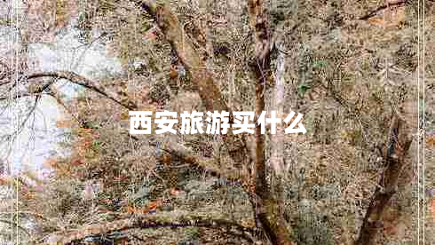 西安旅游買(mǎi)什么