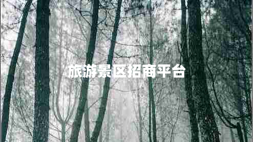 旅游景區招商平臺
