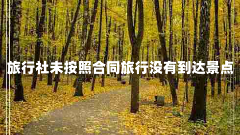 旅行社未按照合同旅行沒(méi)有到達景點(diǎn)