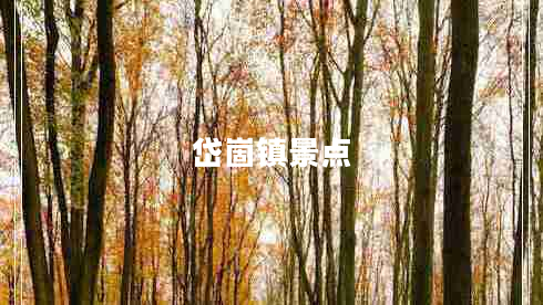 岱崮鎮景點(diǎn)
