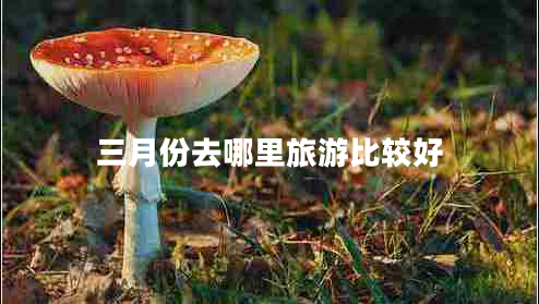 三月份去哪里旅游比較好