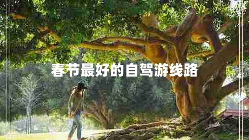 春節最好的自駕游線(xiàn)路