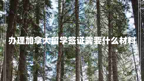 辦理加拿大留學(xué)簽證需要什么材料