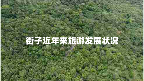 街子近年來(lái)旅游發(fā)展狀況