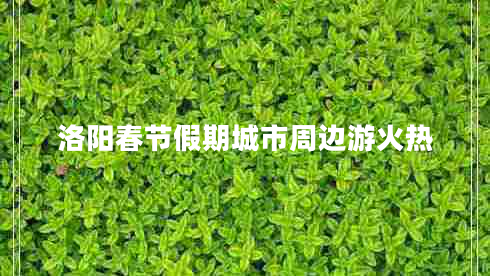 洛陽(yáng)春節假期城市周邊游火熱