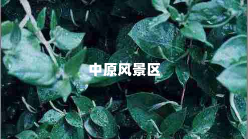 中原風(fēng)景區