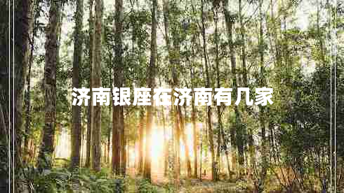 濟南銀座在濟南有幾家