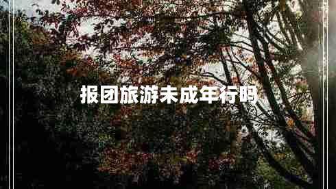 報團旅游未成年行嗎
