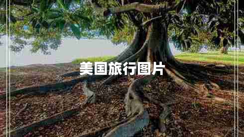 美國旅行圖片 美國旅行圖片