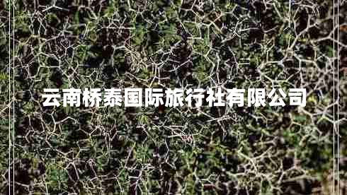 云南橋泰國際旅行社有限公司