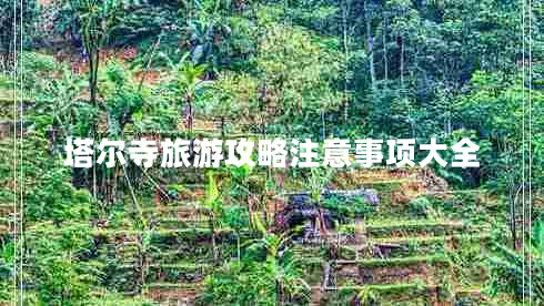 塔爾寺旅游攻略注意事項大全